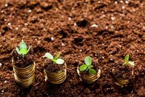 TOMORROW 与 MediaMonks 正式联手