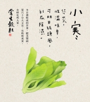 掌生谷粒的24节气文案，每一句都好好味