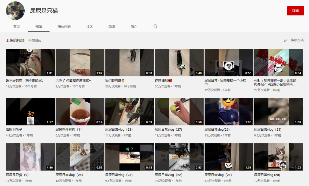 两年突破千万粉，网红猫“尿尿”的养成秘密终于挖出来了